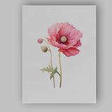 Soft Pink Poppy Botanical Watercolour Flower Canvas Wall Art Print Decor Picture Ready to Hang