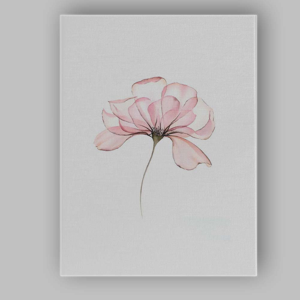 Blush Pink Magnolia Bloom Botanical Watercolour Canvas Wall Art Print Decor Picture Ready to Hang