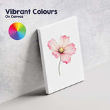 Pink Cosmos Blossom Botanical Watercolour Canvas Wall Art Print Decor Picture Ready to Hang