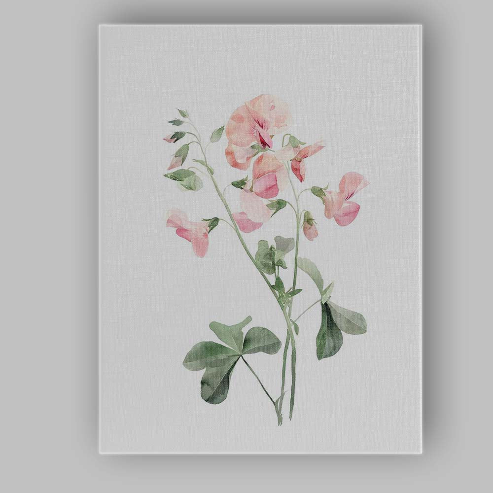 Delicate Pink Sweet Pea Botanical Watercolour Canvas Wall Art Print Decor Picture Ready to Hang