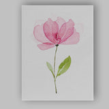 Soft Rose Pink Magnolia Blossom Watercolour Canvas Wall Art Print Decor Picture Ready to Hang