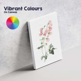 Pastel Pink Sweet Pea Botanical Watercolour Canvas Wall Art Print Decor Picture Ready to Hang
