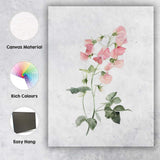 Pastel Pink Sweet Pea Botanical Watercolour Canvas Wall Art Print Decor Picture Ready to Hang