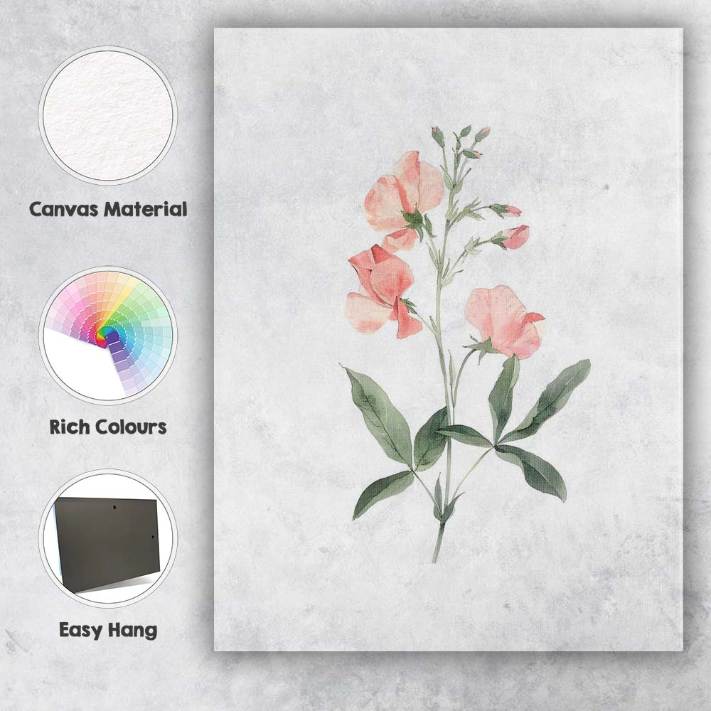 Soft Peach Sweet Pea Botanical Watercolour Canvas Wall Art Print Decor Picture Ready to Hang