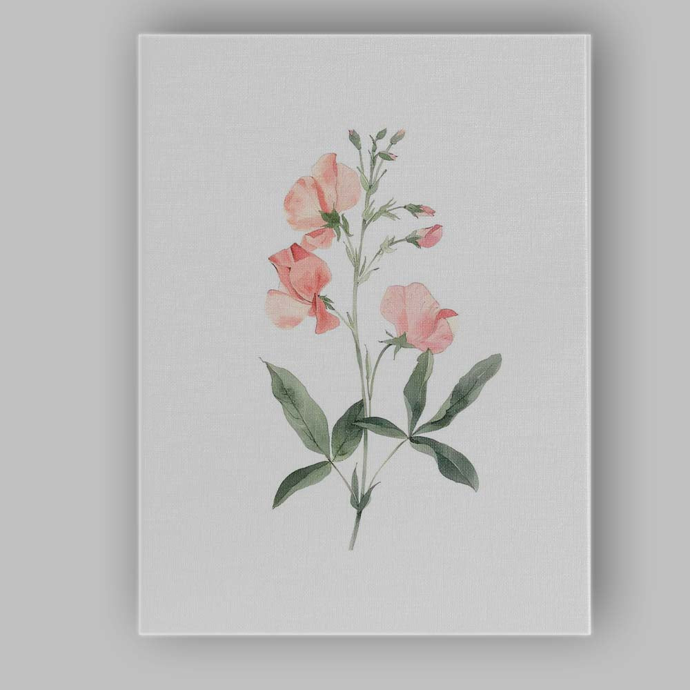 Soft Peach Sweet Pea Botanical Watercolour Canvas Wall Art Print Decor Picture Ready to Hang