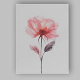Soft Coral Pink Poppy Watercolour Botanical Flower Canvas Wall Art Print Decor Picture Ready to Hang