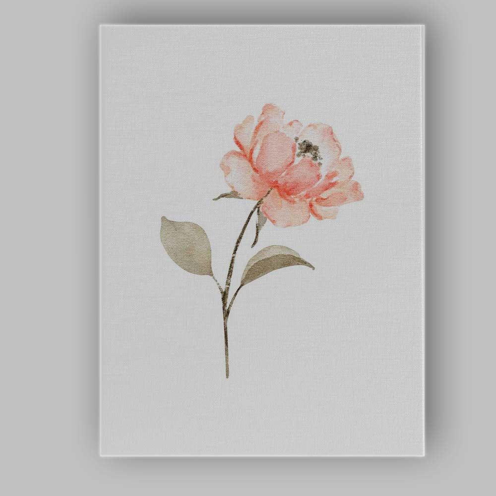 Minimalist Peach Rose Watercolour Botanical Flower Canvas Wall Art Print Decor Picture Ready to Hang