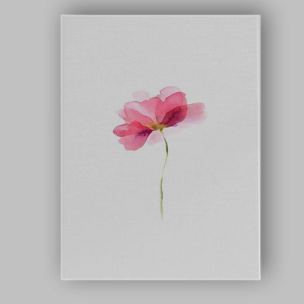 Soft Pink Cosmos Flower Watercolour Minimalist Botanical Canvas Wall Art Print Decor Picture Ready to Hang