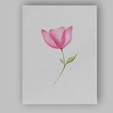 Elegant Pink Tulip Watercolour Minimal Floral Canvas Wall Art Print Decor Picture Ready to Hang