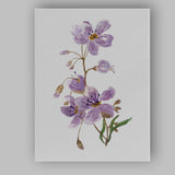Delicate Lavender Blossom Botanical Watercolour Floral Canvas Wall Art Print Decor Picture Ready to Hang