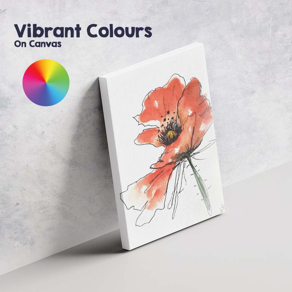 Expressive Coral Poppy Ink Sketch Watercolour Canvas Wall Art Print Decor Picture Ready to Hang