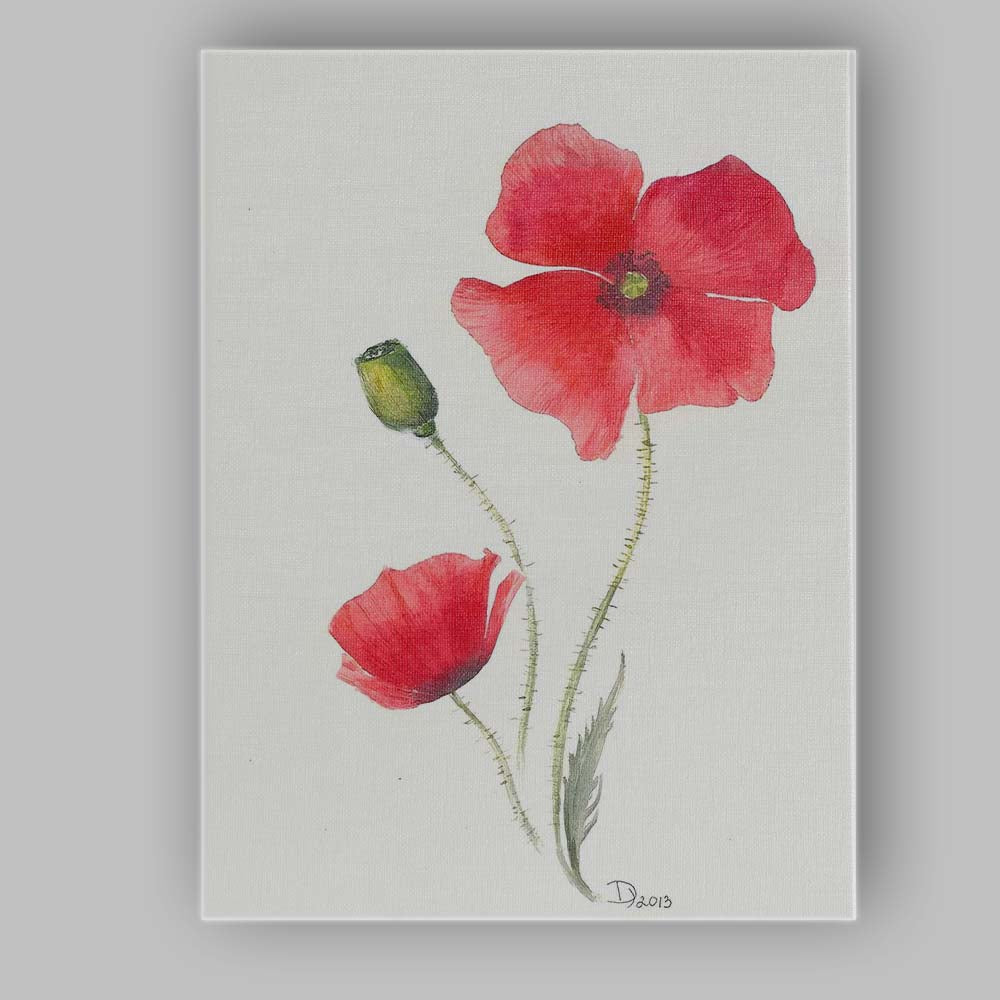 Classic Red Poppy Flower Botanical Watercolour Canvas Wall Art Print Decor Picture Ready to Hang