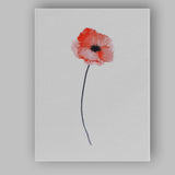 Soft Blush Poppy Minimal Watercolour Floral Canvas Wall Art Print Decor Picture Ready to Hang