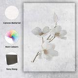 Elegant White Magnolia Blossom Botanical Canvas Wall Art Print Decor Picture Ready to Hang