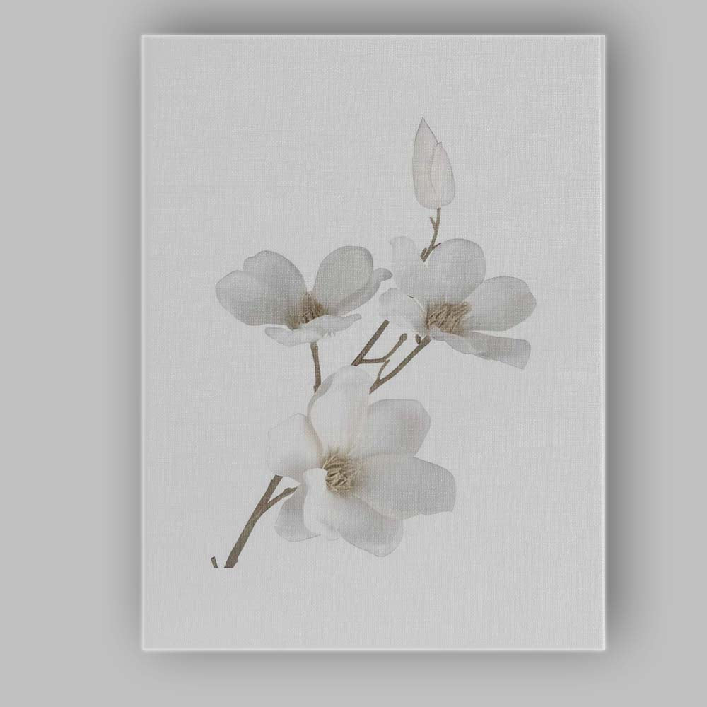 Elegant White Magnolia Blossom Botanical Canvas Wall Art Print Decor Picture Ready to Hang