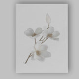 Elegant White Magnolia Blossom Botanical Canvas Wall Art Print Decor Picture Ready to Hang