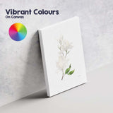 Minimal White Magnolia Branch Watercolour Botanical Canvas Wall Art Print Decor Picture Ready to Hang
