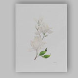 Minimal White Magnolia Branch Watercolour Botanical Canvas Wall Art Print Decor Picture Ready to Hang