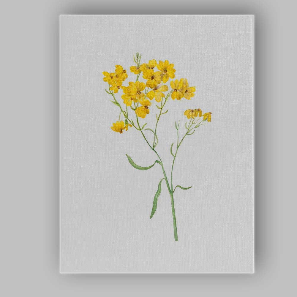 Golden Yellow Cosmos Wildflower Botanical Canvas Wall Art Print Decor Picture Ready to Hang