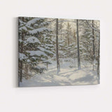 Sunlit Snow Covered Pine Forest Winter Woodland Scene Canvas Wall Art Print Decor Picture Ready to Hang