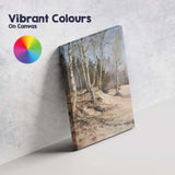 Winter Birch Woodland Path Soft Neutral Landscape Canvas Wall Art Print Decor Picture Ready to Hang