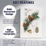 Antique Botanical Pine Cone And Evergreen Branch Illustration Canvas Wall Art Print Decor Picture Ready to Hang