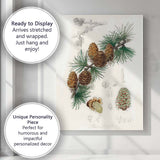 Antique Botanical Pine Cone And Evergreen Branch Illustration Canvas Wall Art Print Decor Picture Ready to Hang