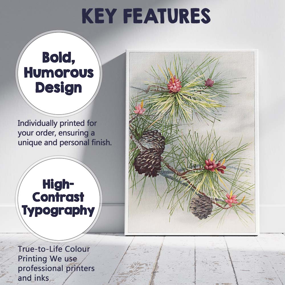 Botanical Pine Needles And Cones Natural History Illustration Canvas Wall Art Print Decor Picture Ready to Hang