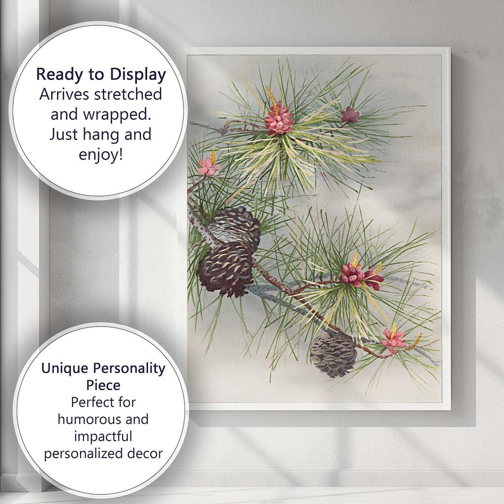 Botanical Pine Needles And Cones Natural History Illustration Canvas Wall Art Print Decor Picture Ready to Hang