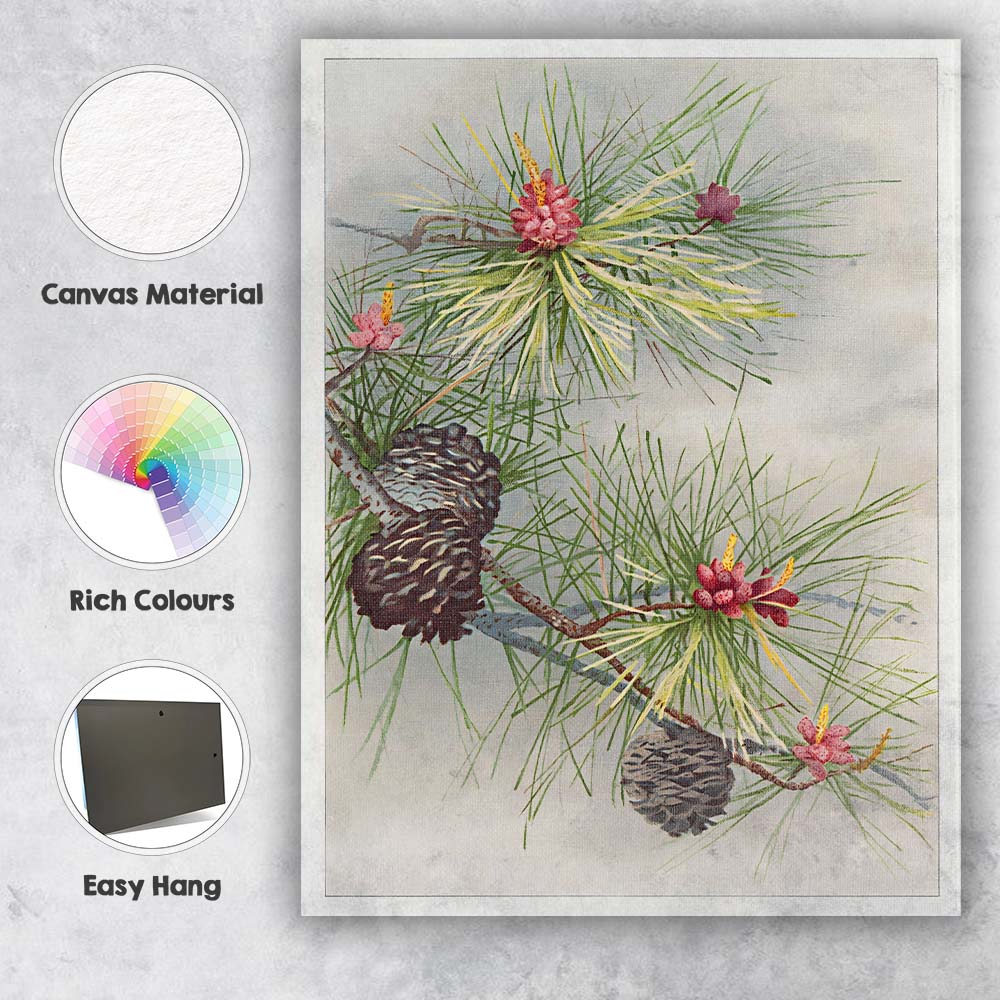 Botanical Pine Needles And Cones Natural History Illustration Canvas Wall Art Print Decor Picture Ready to Hang