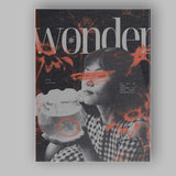 Monochrome Grunge Typography Portrait With Goldfish Bowl Contemporary Collage Canvas Wall Art Print Decor Picture Ready to Hang