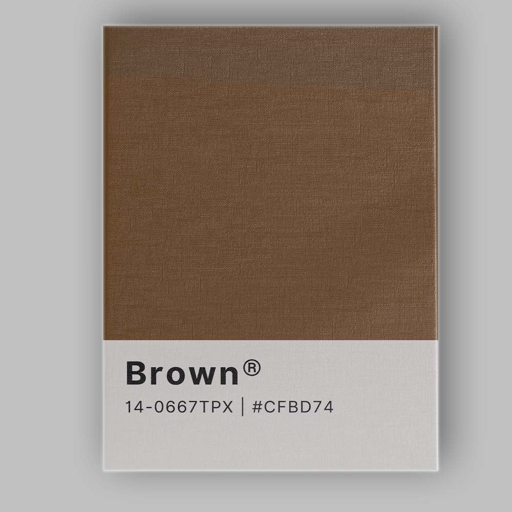 Pantone Brown Colour Swatch Minimalist Graphic Design Canvas Wall Art Print Decor Picture Ready to Hang