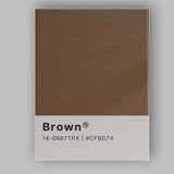 Pantone Brown Colour Swatch Minimalist Graphic Design Canvas Wall Art Print Decor Picture Ready to Hang