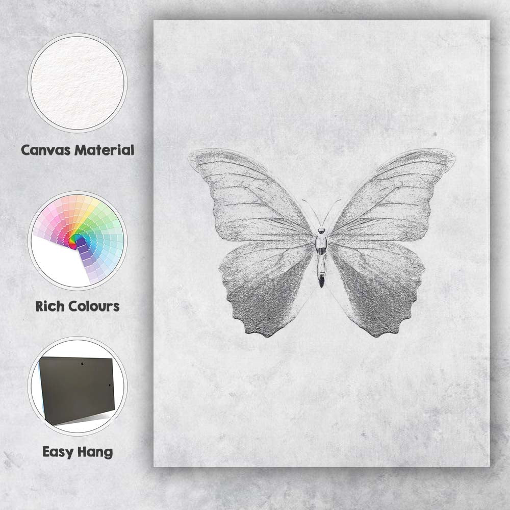 Elegant Monochrome Butterfly Detailed Nature Illustration Minimalist Canvas Wall Art Print Decor Picture Ready to Hang
