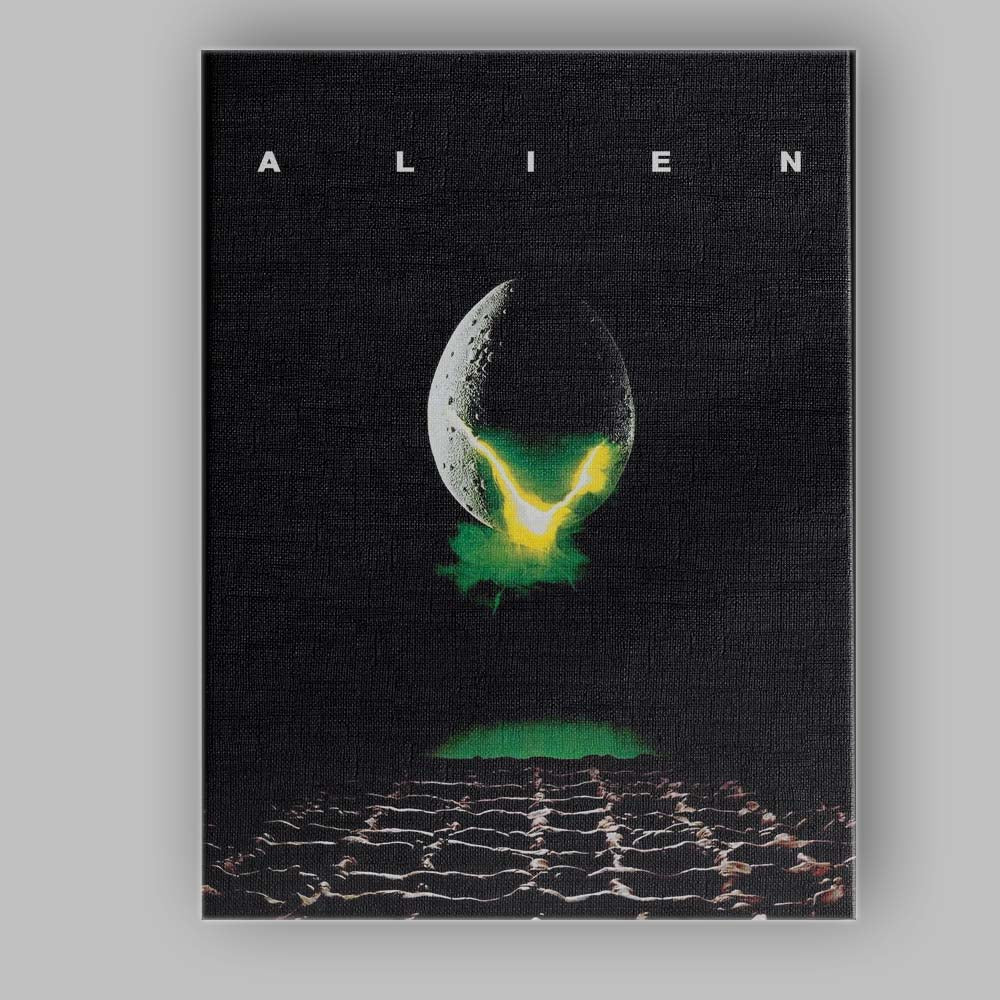Minimalist Sci Fi Space Egg Dark Horror Film Inspired Artwork Canvas Wall Art Print Decor Picture Ready to Hang