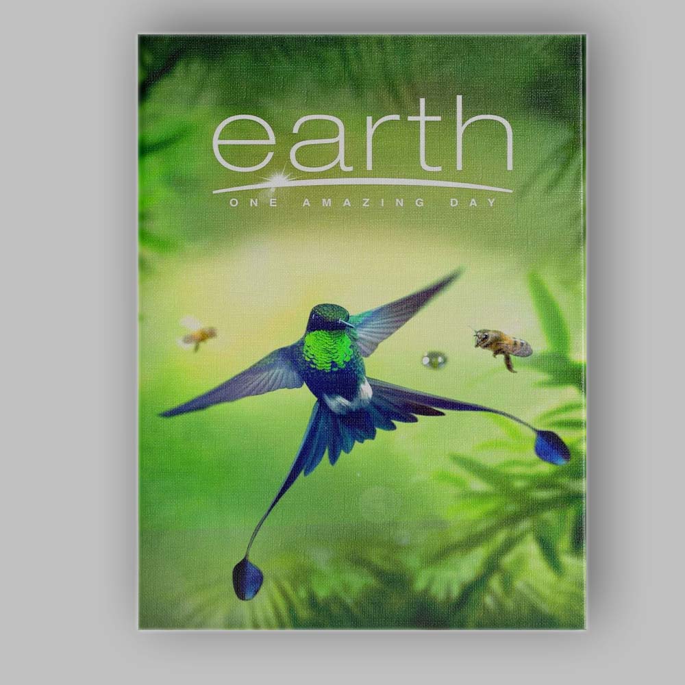 Vibrant Green Hummingbird Tropical Wildlife Nature Documentary Canvas Wall Art Print Decor Picture Ready to Hang