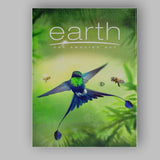Vibrant Green Hummingbird Tropical Wildlife Nature Documentary Canvas Wall Art Print Decor Picture Ready to Hang