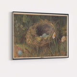 Natural Bird Nest Blue Eggs Wildflower Woodland Study Canvas Wall Art Print Decor Picture Ready to Hang