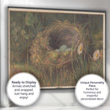 Natural Bird Nest Blue Eggs Wildflower Woodland Study Canvas Wall Art Print Decor Picture Ready to Hang