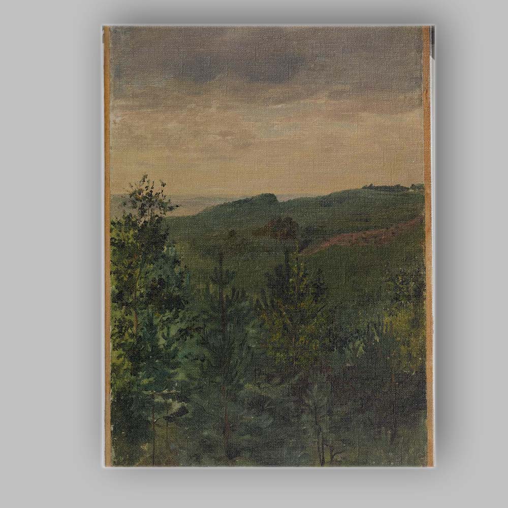 Misty Pine Forest Hillside Atmospheric Landscape Painting Canvas Wall Art Print Decor Picture Ready to Hang