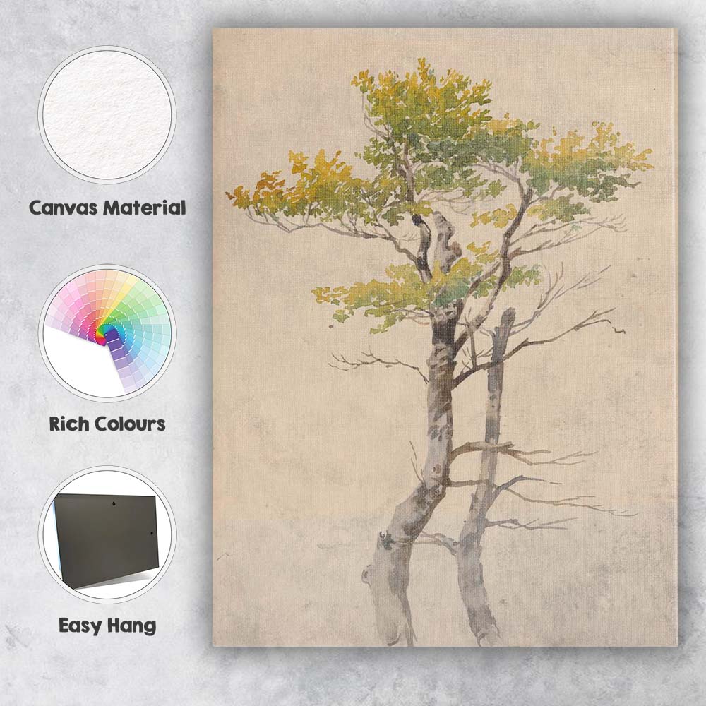 Delicate Botanical Tree Study Watercolour Nature Illustration Canvas Wall Art Print Decor Picture Ready to Hang