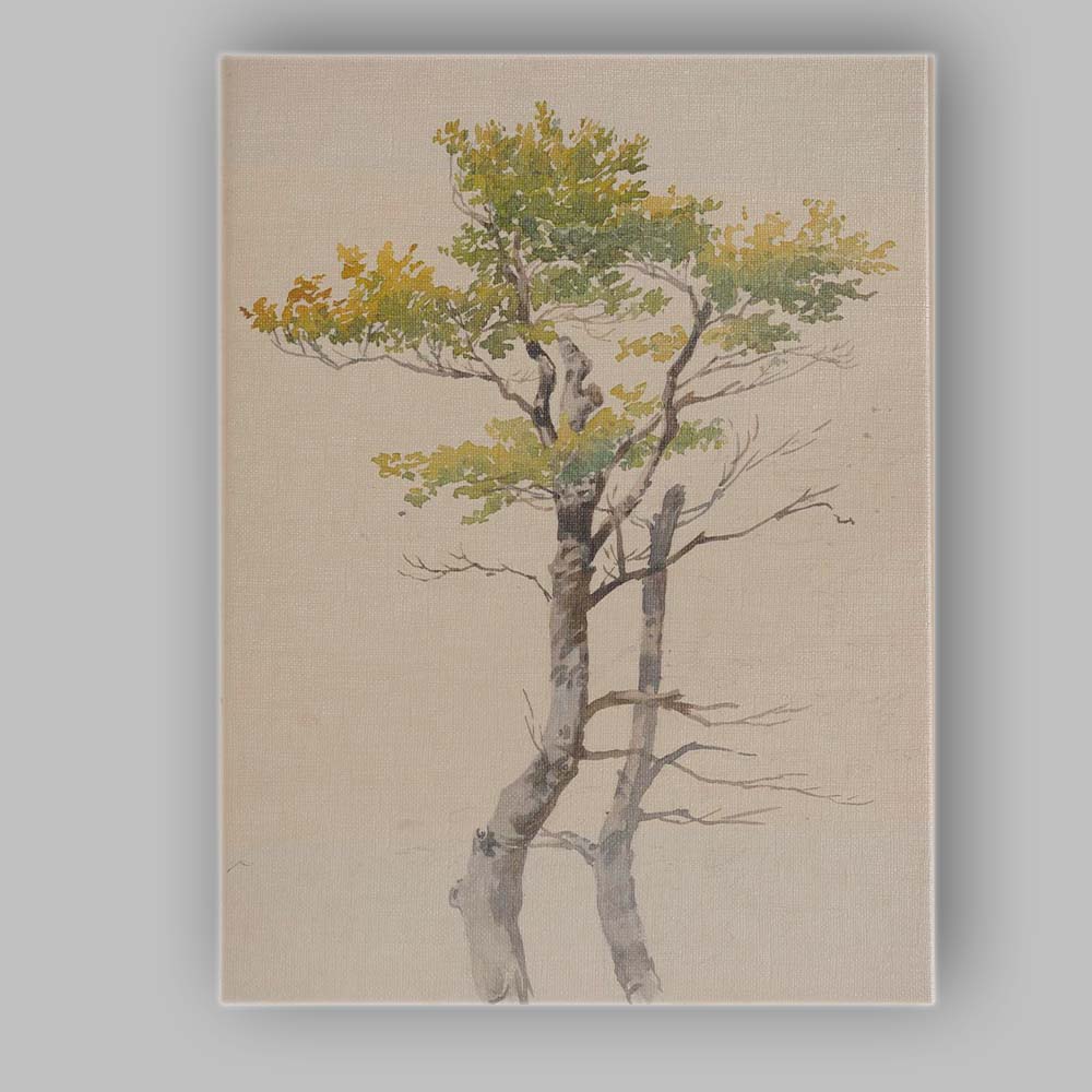 Delicate Botanical Tree Study Watercolour Nature Illustration Canvas Wall Art Print Decor Picture Ready to Hang