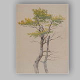 Delicate Botanical Tree Study Watercolour Nature Illustration Canvas Wall Art Print Decor Picture Ready to Hang