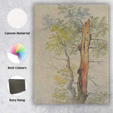 Detailed Woodland Tree Trunk Nature Study Watercolour Canvas Wall Art Print Decor Picture Ready to Hang