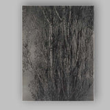 Black and White Bare Poplar Trees Woodland Nature Photography Canvas Wall Art Print Decor Picture Ready to Hang