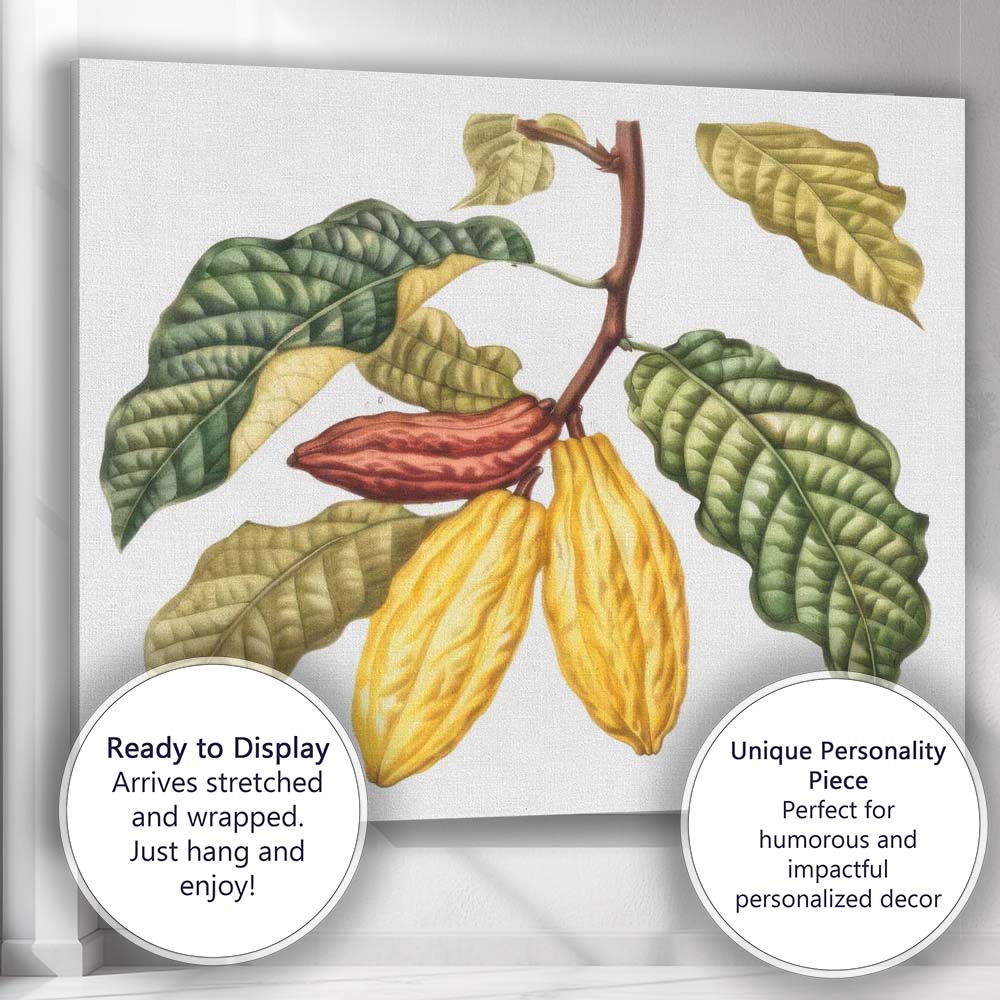 Cocoa Pod Branch Botanical Tropical Plant Illustration Canvas Wall Art Print Decor Picture Ready to Hang