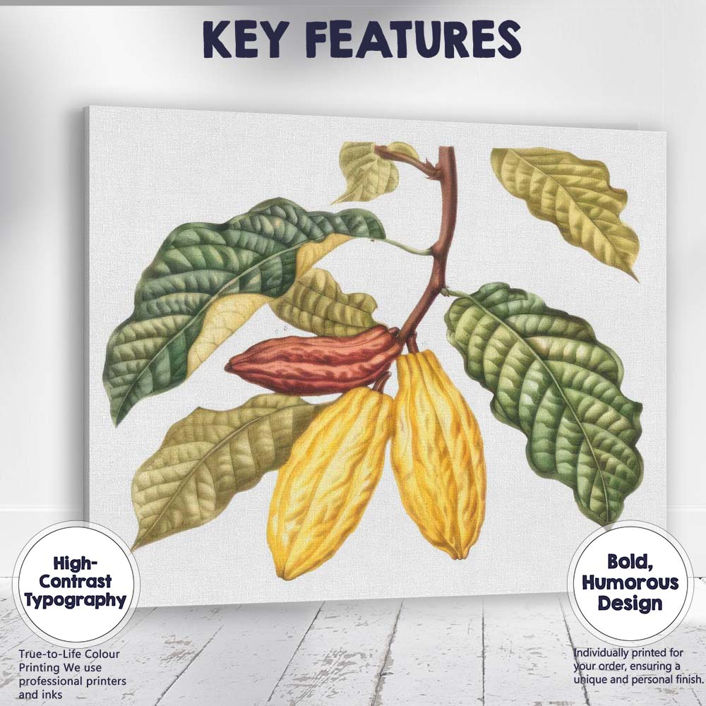 Cocoa Pod Branch Botanical Tropical Plant Illustration Canvas Wall Art Print Decor Picture Ready to Hang