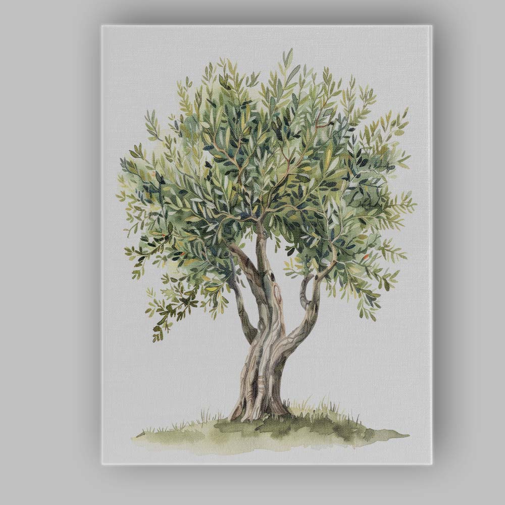 Watercolour Ancient Olive Tree Botanical Garden Illustration Natural Greenery Canvas Wall Art Print Decor Picture Ready to Hang
