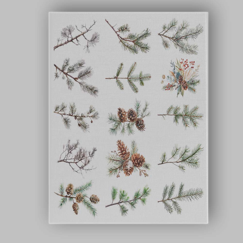 Winter Evergreen Pine Branch Collection Botanical Illustration Canvas Wall Art Print Decor Picture Ready to Hang