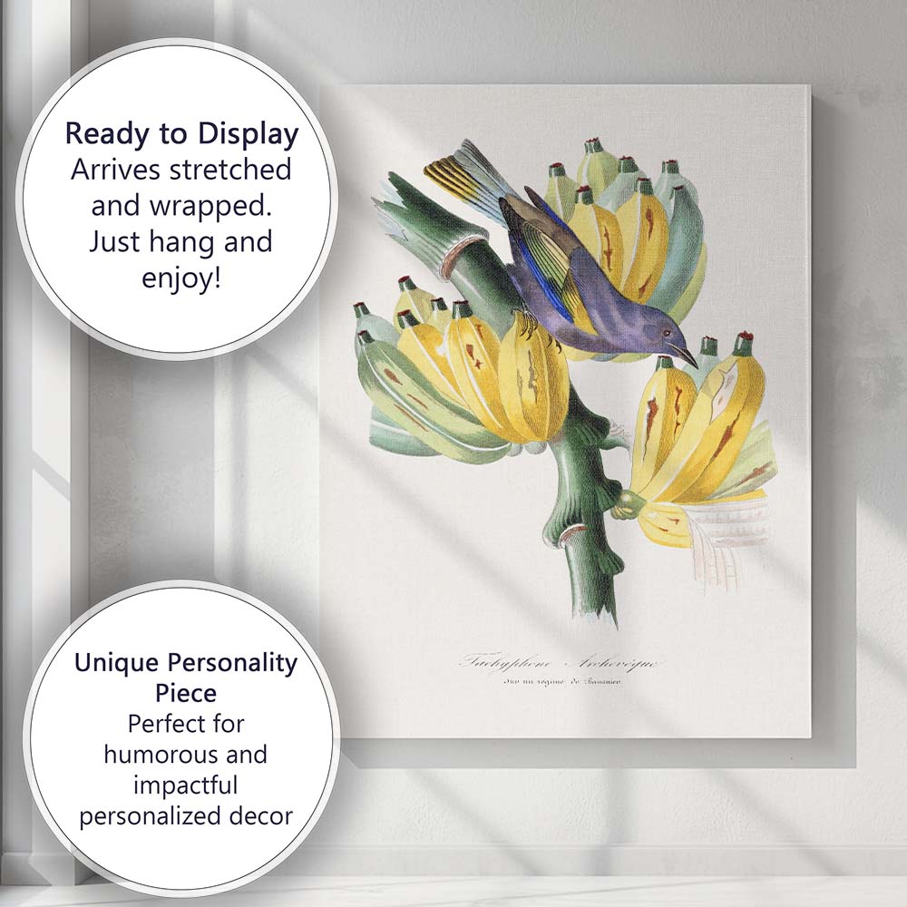 Antique Botanical Banana Plant And Tropical Bird Natural History Illustration Canvas Wall Art Print Decor Picture Ready to Hang
